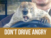 Don't drive angry  - Phil the groundhog