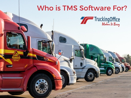 Who is TMS Software For?